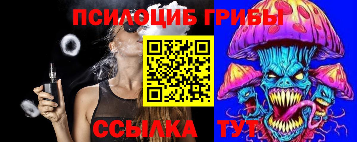 Галлюциногенные грибы Cubensis  Вход с VPN  Верхняя Пышма 